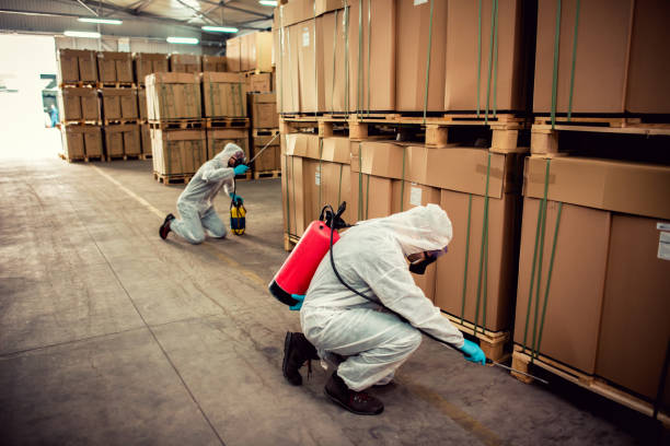 Best Commercial Pest Control Services  in Pinckneyvle, IL