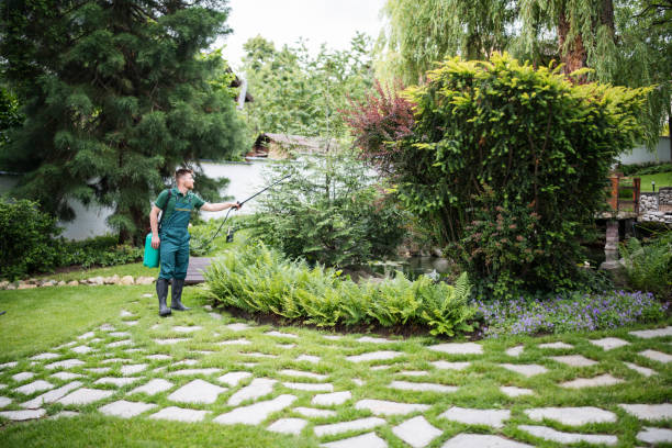 Best Mosquito Control Services  in Pinckneyvle, IL