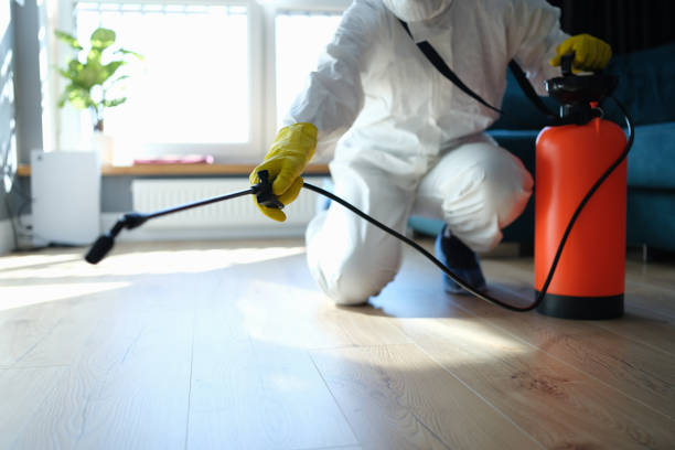 Best Bed Bug Extermination  in Pinckneyvle, IL