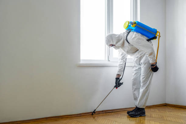Reliable Pinckneyville, IL Pest Control Solutions