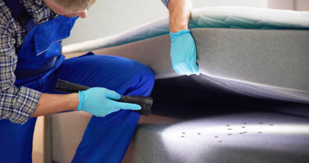 Best Pest Prevention Services  in Pinckneyvle, IL