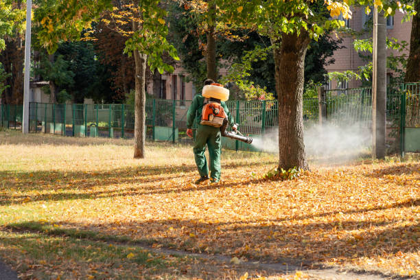 Best Commercial Pest Control Services  in Pinckneyvle, IL