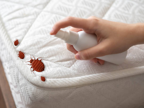 Best Emergency Pest Control  in Pinckneyvle, IL